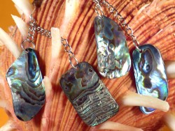 Paua earring pair