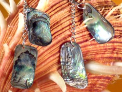 Paua earring pair