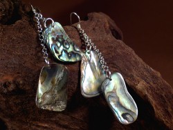 Paua earring pair