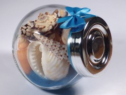 Shell mix in small candy glass 05