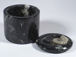 Fossilien-Marmor-Dose mit Ammoniten-Deckel *schwarz*