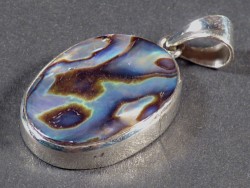Paua Pendant oval w/silver 2,7cm *unique*